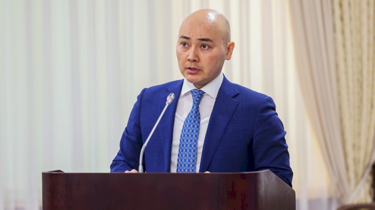 Комплексный план по поддержке малого и среднего предпринимательства будет разработан в Казахстане
