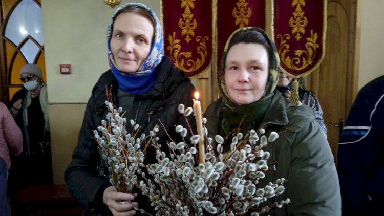 В СКО разрешили сбор вербы к православному празднику
