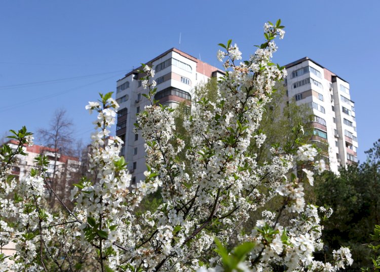 Какой будет погода в ближайшие дни в Казахстане