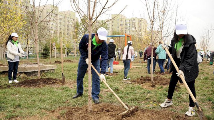 Алматинцев приглашают на необычный субботник