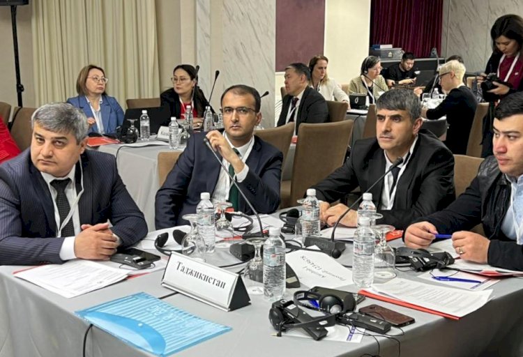 В Алматы Минздрав совместно с ВОЗ обсуждает вопросы доступа к лекарствам