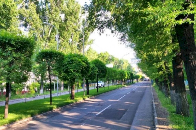Зеленый фонд Алматы расширят