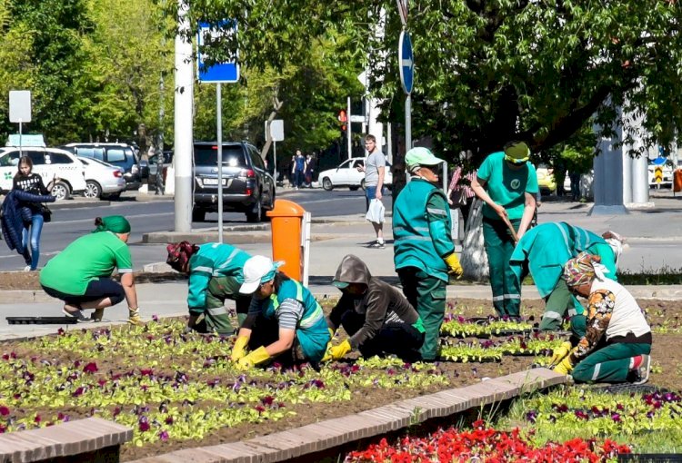 В Алматы высадят порядка 185 тысяч квадратных метров цветов