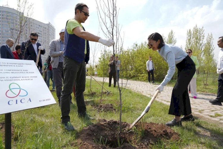 Астанчане вместе с министром посадили сакуру и яблони Сиверса