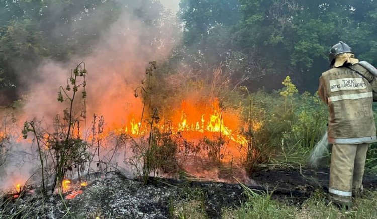 Трое лесников погибли при крупном пожаре в Абайской области