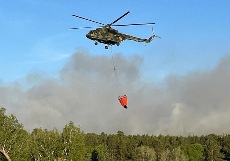Военнослужащие Министерства обороны задействованы в тушении пожара в Абайской области