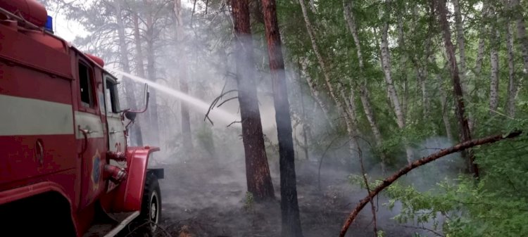 В Абайской области продолжается тушение пожара