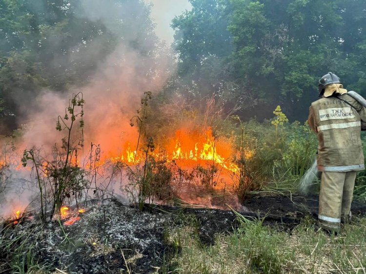 Сколько нужно средств казахстанским службам, чтобы не повторилась трагедия «Семей орманы»