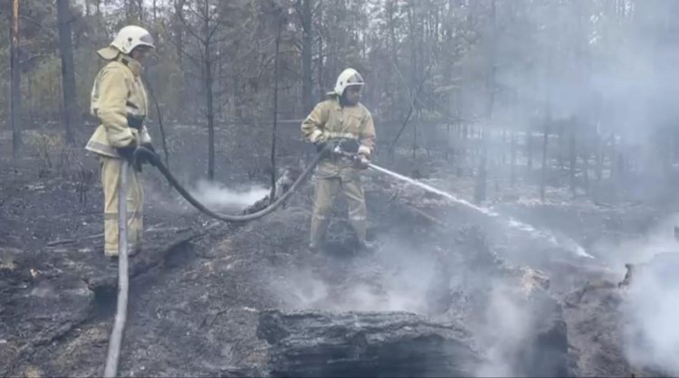 Тушение пожара в области Абай продолжается