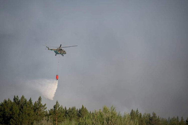 Пожар  в резервате «Семей орманы» тушат 12 вертолетов