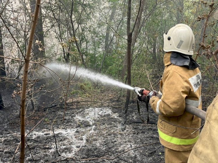 Пожар в Абайской области: угрозы населенным пунктам нет