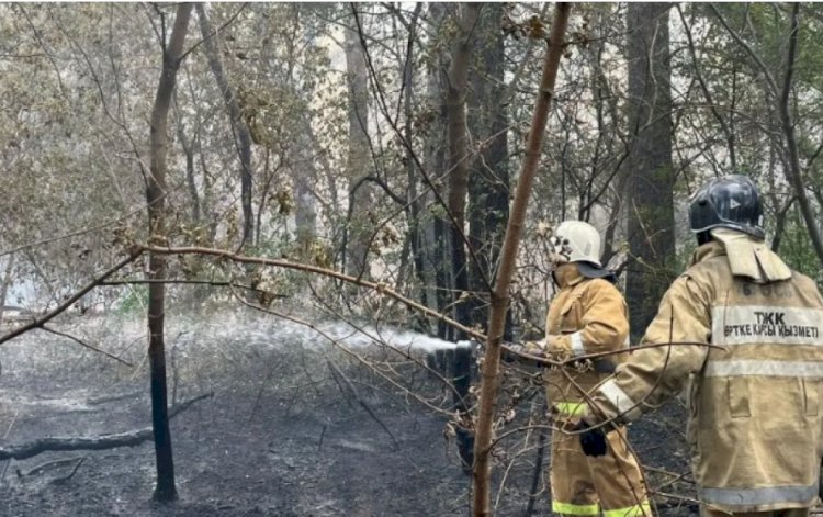 Лесной пожар в области Абай локализован