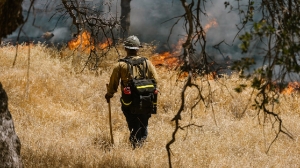 Лето в Казахстане ожидается жарким: как будет обеспечена пожарная безопасность 