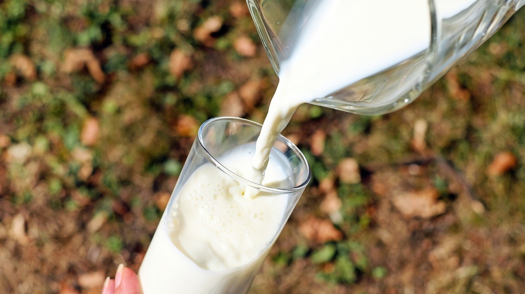 Молочную продукцию пытались провезти через границу Казахстана