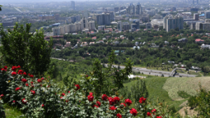 До 31 градуса тепла: погода в мегаполисах Казахстана на три дня  