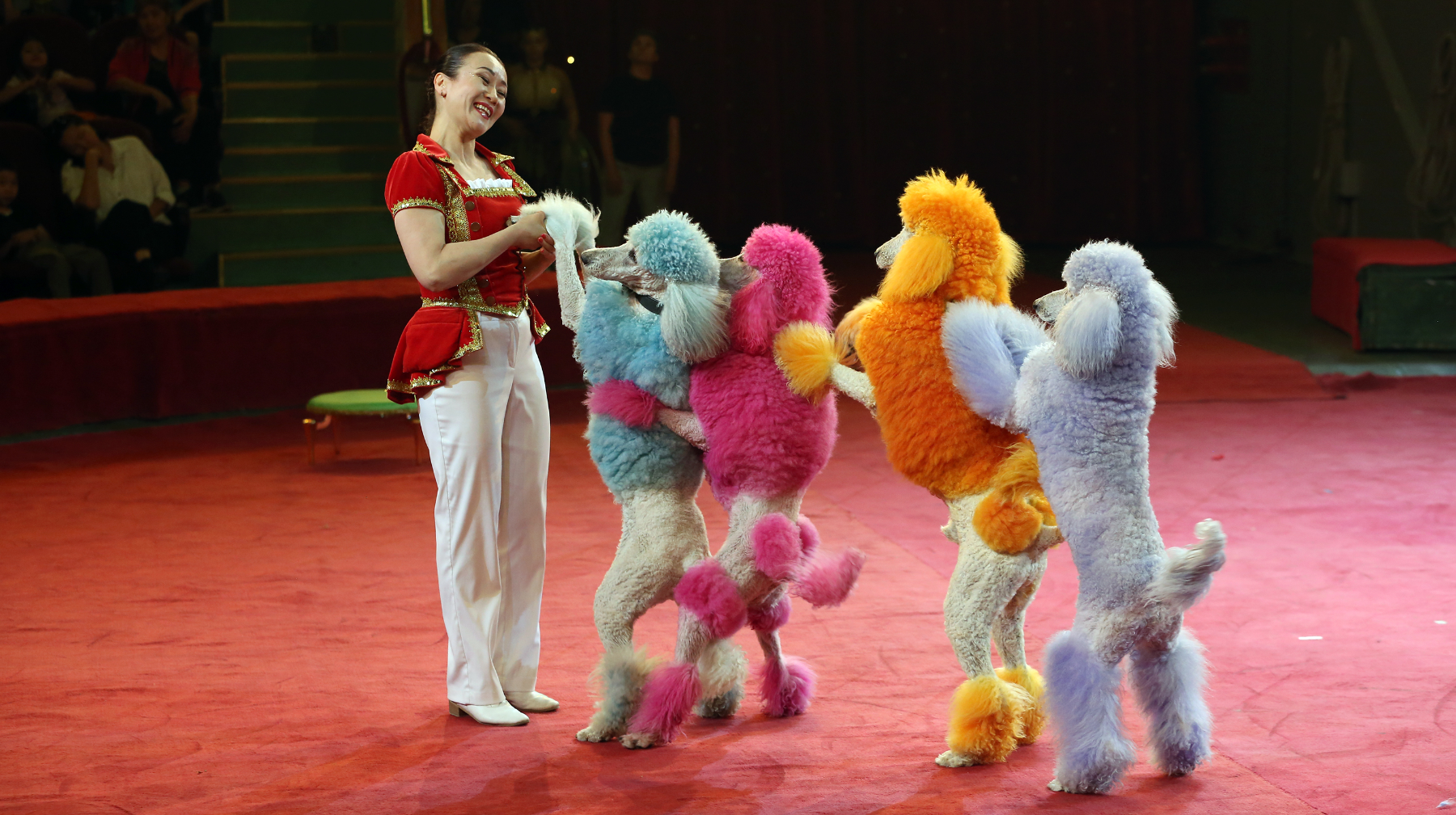 Артисты алматинского цирка в День защиты детей устроили волшебное представление
