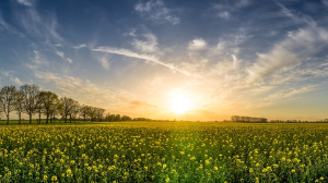 Прокуроры Жетісу привлекли к ответственности акима