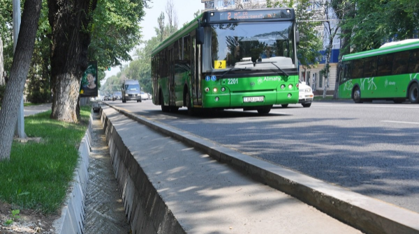 Полиция Алматы проверяет городской транспорт