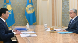 Глава Антикора отчитался перед Токаевым  