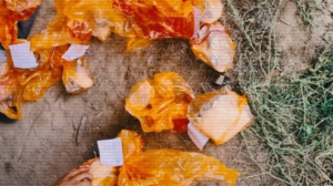 Сеть нарколабораторий накрыли в Казахстане