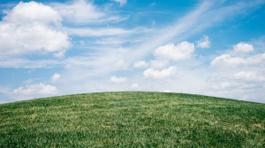 1,5 млрд тенге не оплатили в бюджет землевладельцы Алматинской области 