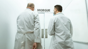 Тела младенцев перепутали в морге Кызылорды: главврач уволен 