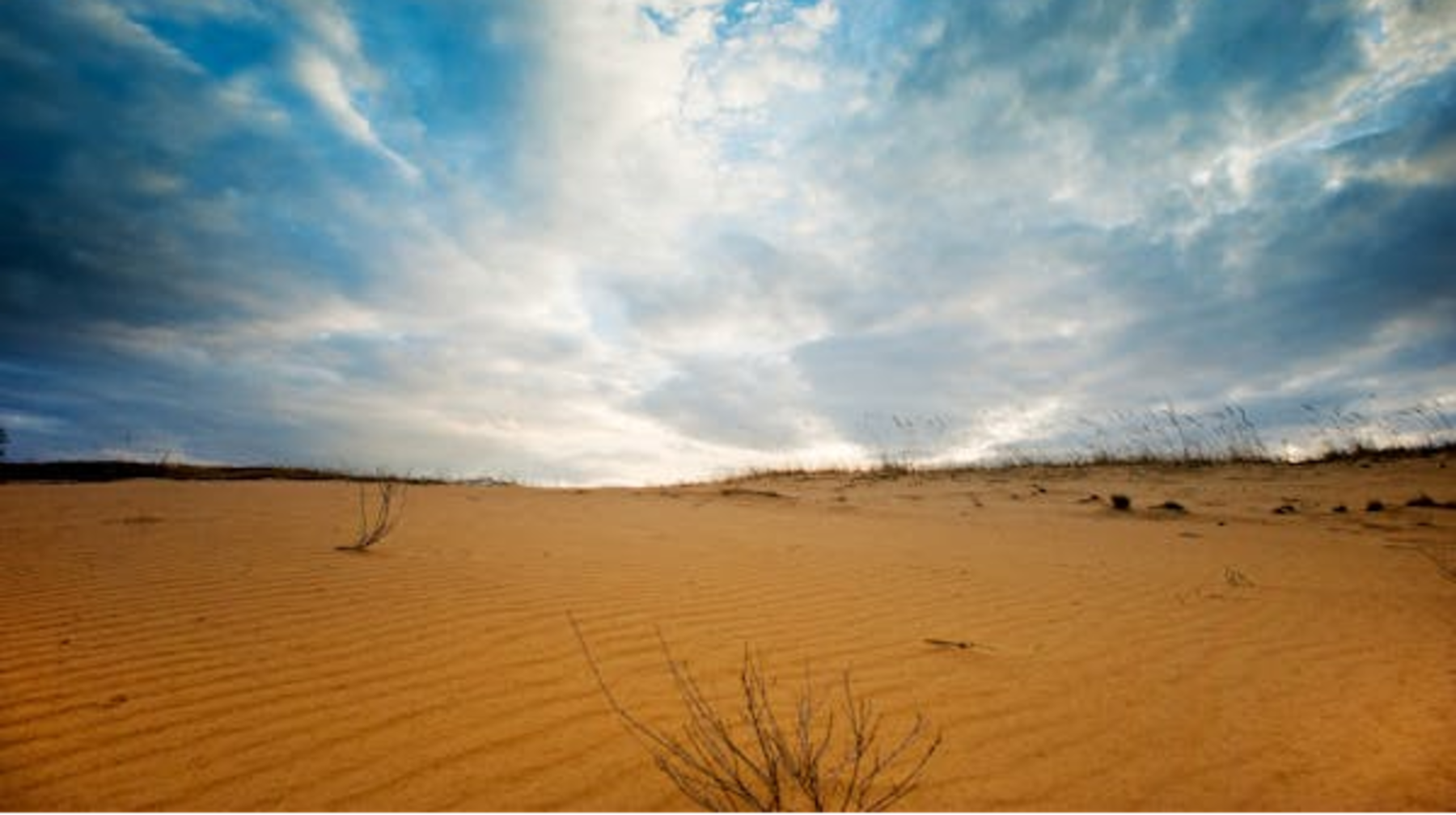 Засуха в ближайшие 10 дней ожидается в пяти регионах Казахстана 