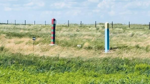 Захода саранчи с приграничных районов России опасаются в Костанайской области