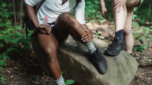 7,6 тысяч казахстанцев обратились за медпомощью после укусов клещей