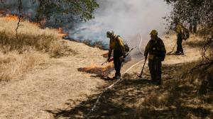 Зарплату повысили с 1 июля лесникам и десантникам-пожарным авиационной охраны Казахстана 