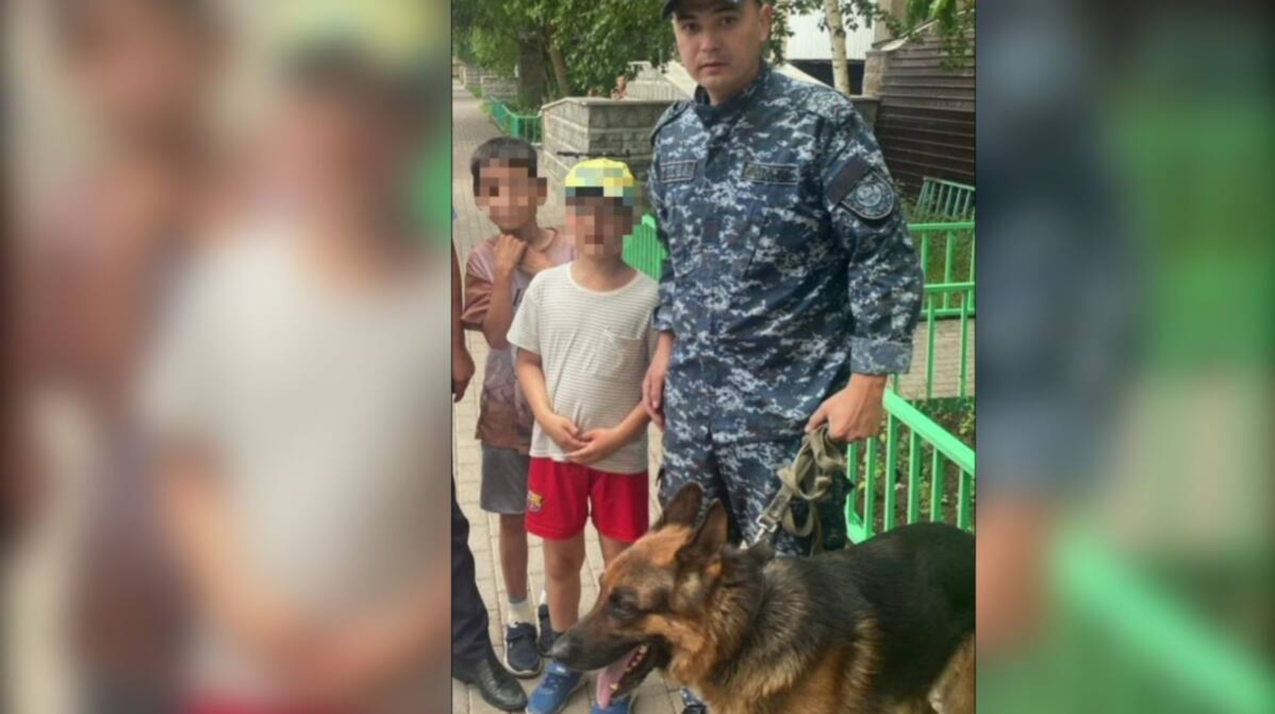 Пропавшего мальчика нашла полицейская собака Феликс в Астане