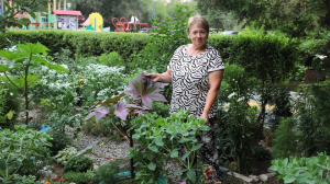 В цветущие сады превращают дворы многоэтажек талдыкорганки 