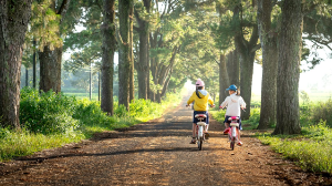 7-летний заявитель и 10-летняя “угонщица”: в Сарани раскрыли кражу велосипеда