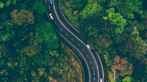 Что делать, если на вашу машину упало дерево