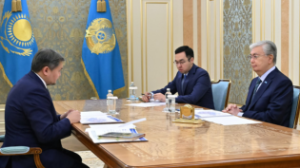 Токаев принял министра науки и высшего образования 