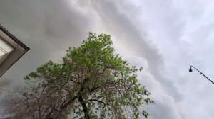 Жара до 43 градусов и сильные дожди ожидаются в Казахстане на 23-25 июля