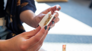 Более 30 нарколабораторий ликвидировали в Казахстане