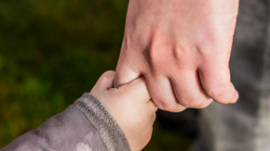 Прокуроры выявляют скрытые доходы должников по алиментам