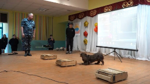 Кинолога со служебной собакой направили в детский лагерь в СКО