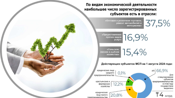 В бизнесе предпринимателей мегаполиса преобладают торговля и ремонт автотехники