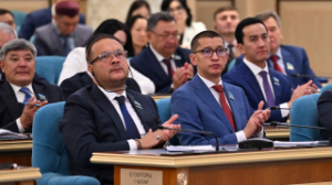 Президент пояснил в Послании, как будут избираться акимы районов и городов областного значения