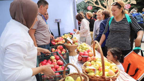 Apple Fest-2024: Нiro и Captown, 130 тонн яблок, 1 700 литров яблочного компота и цирк Шапито