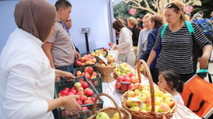 Apple Fest-2024: Нiro и Captown, 130 тонн яблок, 1 700 литров яблочного компота и цирк Шапито