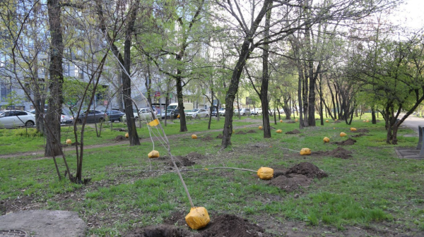 В Алматы стартовала акция «Зеленый двор»