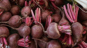 В 2024 году ожидается рекордный урожай сахарной свеклы – Минсельхоз