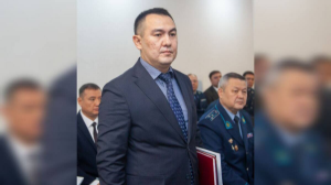 В МВД Казахстана создали новый департамент по противодействию киберпреступности  