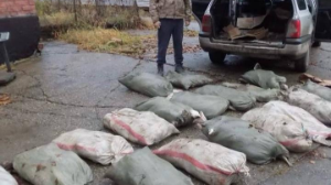 Жителя ВКО задержали при перевозке более 200 кг рыбы 