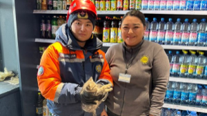 Спасенного котенка пожарные Астаны вручили позвонившей им продавцу магазина 