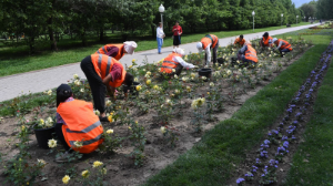   10,6 млрд тенге выделили в Алматы на озеленение и экологические проекты