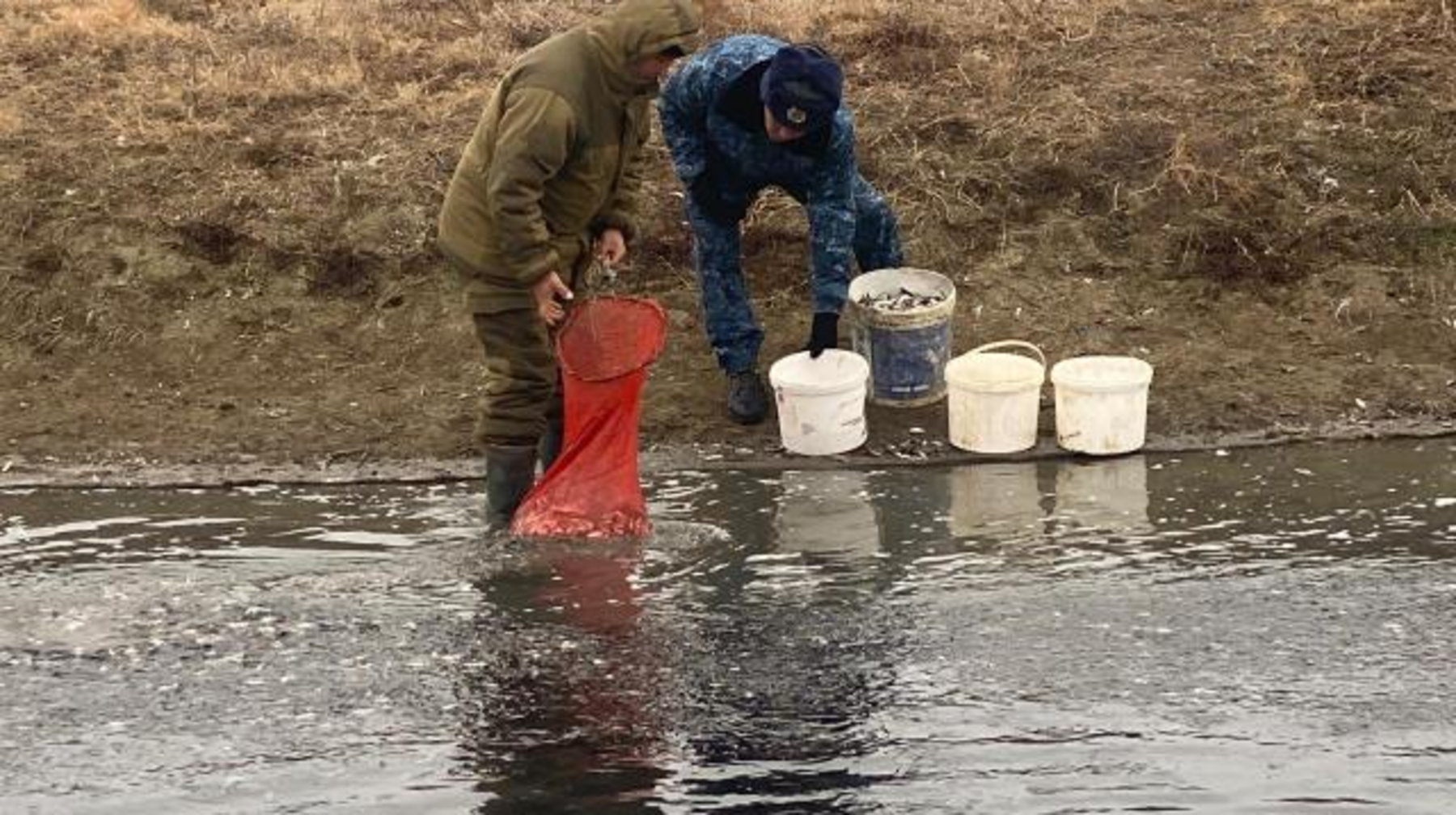 В Жайык-Каспийском бассейне предотвращена гибель мальков рыб